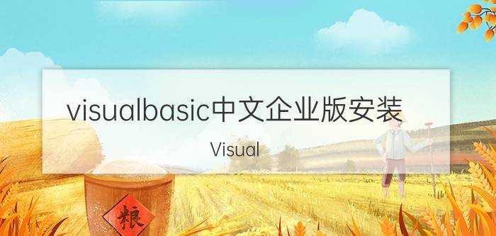 visualbasic中文企业版安装 Visual Basic中文企业版安装步骤详解